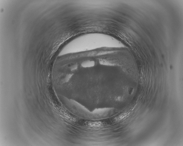 X0000058100355200510211441