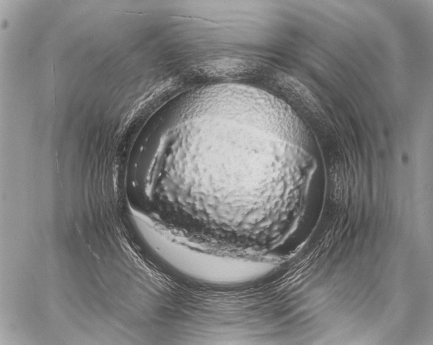 X0000058100404200510211441