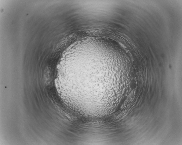 X0000058100416200510211441