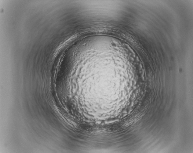 X0000058100442200510211440