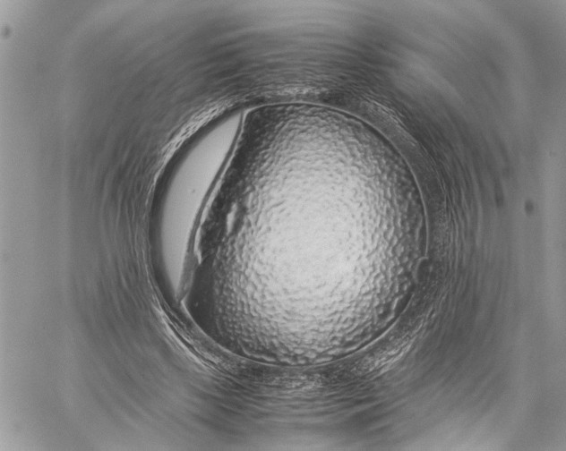 X0000058100443200510211440