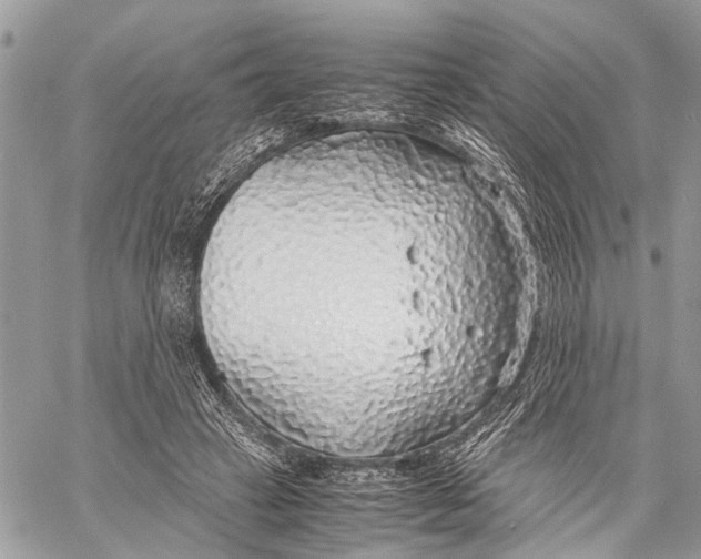 X0000058100449200510211440