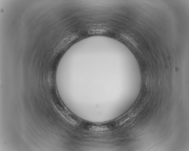 X0000058100455200510211440