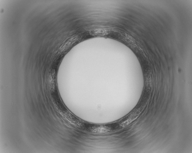 X0000058100460200510211440