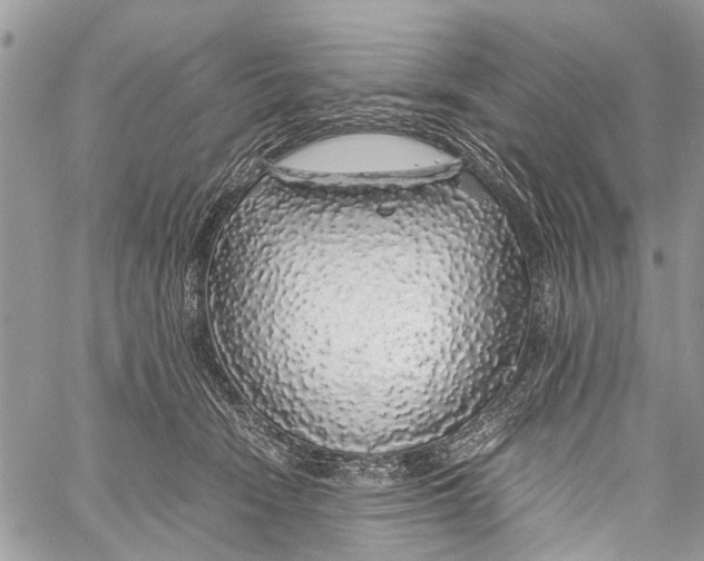 X0000058100466200510211440