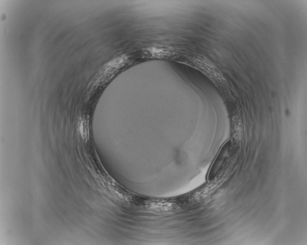 X0000058100471200510211440
