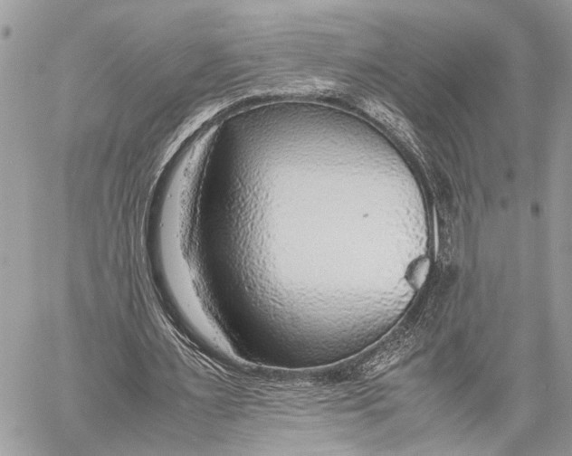 X0000058100483200510211439
