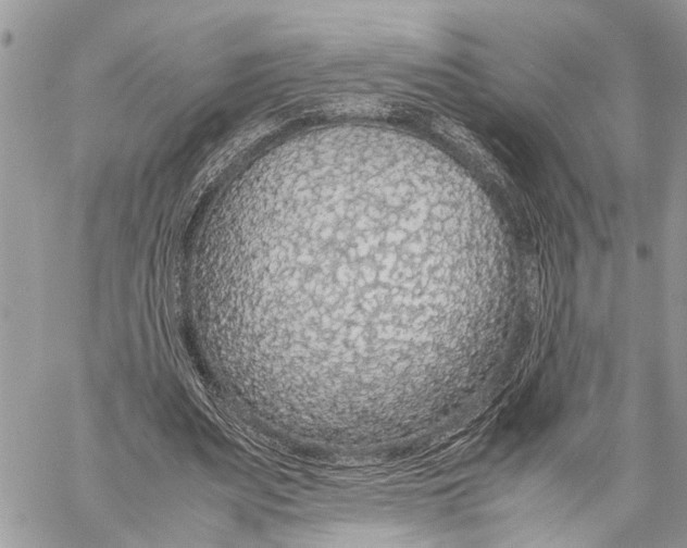 X0000058100487200510211439