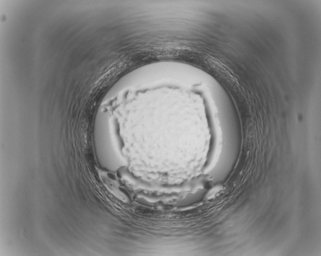 X0000058100501200510211439