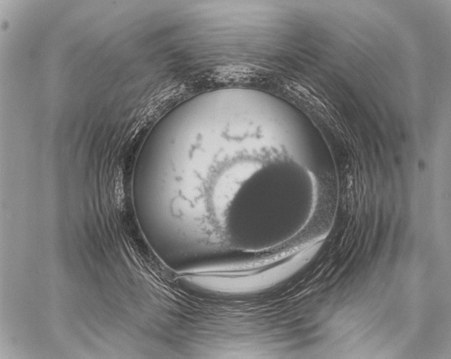 X0000058100508200510211439