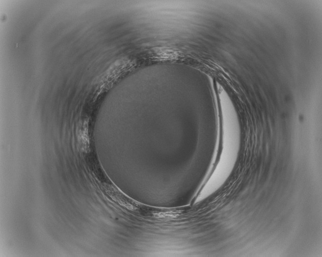 X0000058100516200510211439