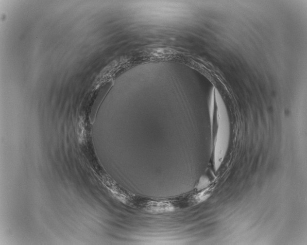 X0000058100520200510211439