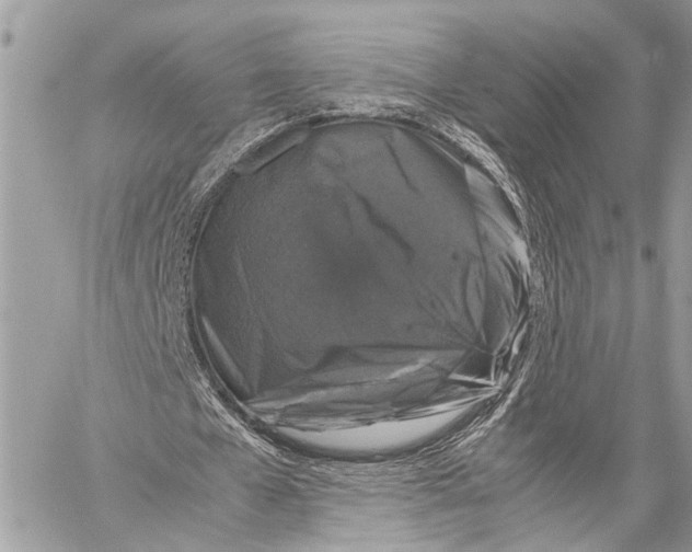 X0000058100577200510211438