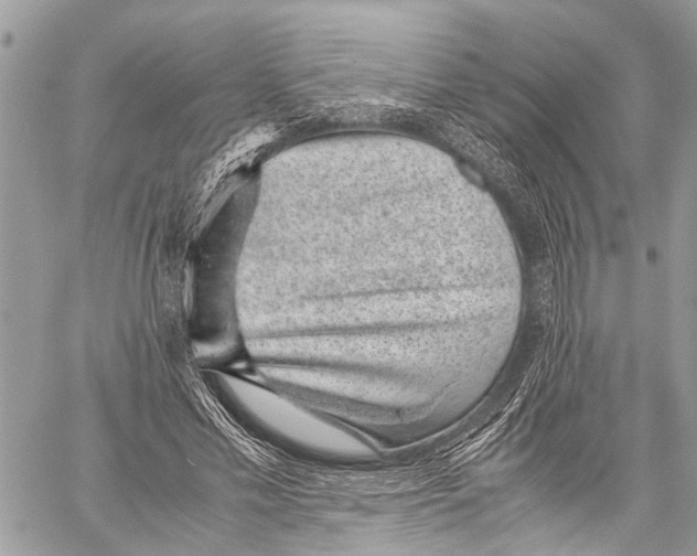 X0000058100589200510211438