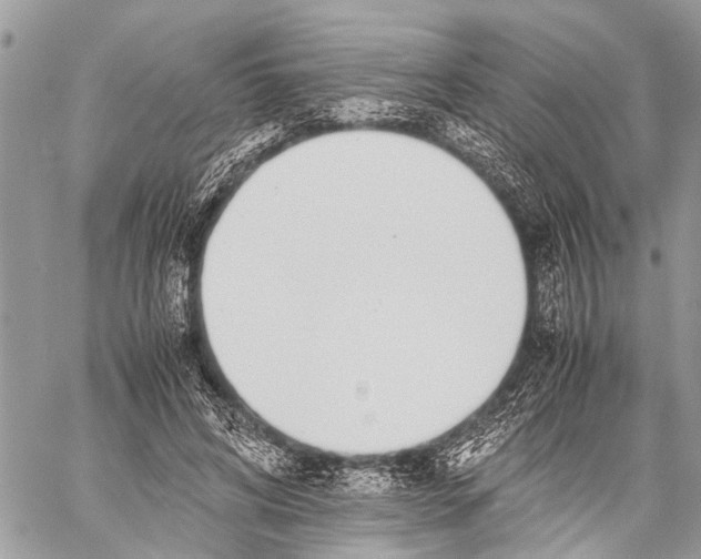 X0000058100592200510211438
