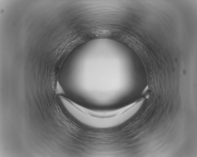 X0000058100604200510211437