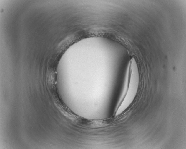 X0000058100623200510211437
