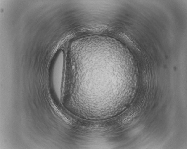 X0000058100634200510211436
