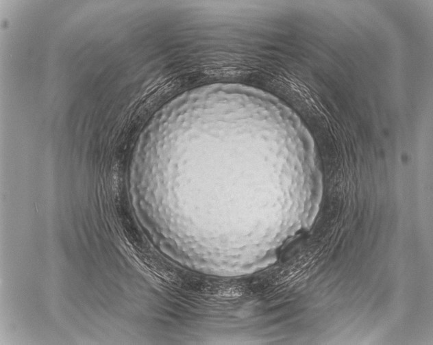 X0000058100647200510211437