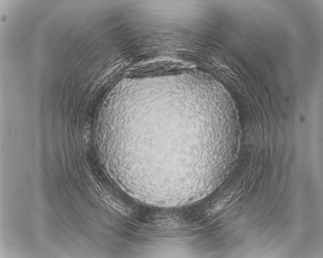 X0000058100648200510211437