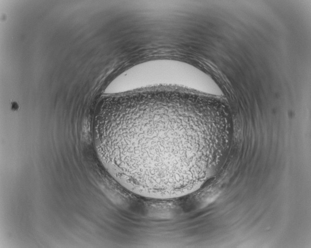 X0000058100669200510211437