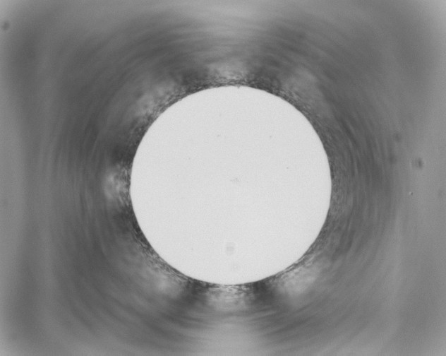 X0000058100672200510211437