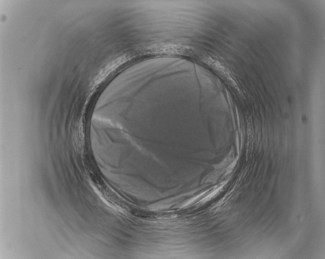 X0000058100674200510211436