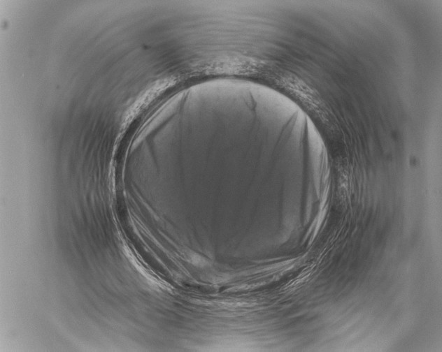 X0000058100678200510211436