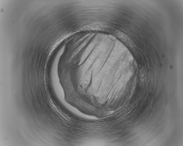 X0000058100680200510211436