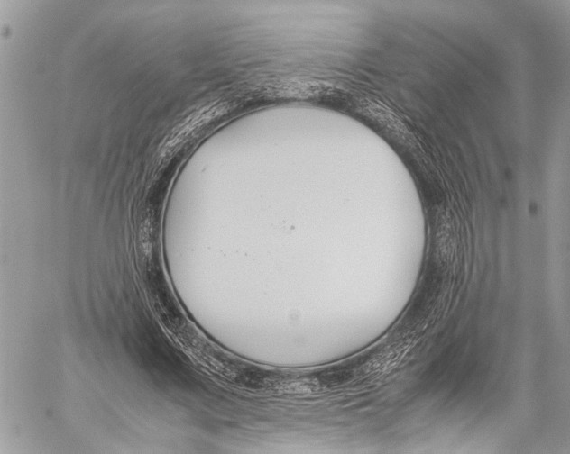 X0000058100683200510211436