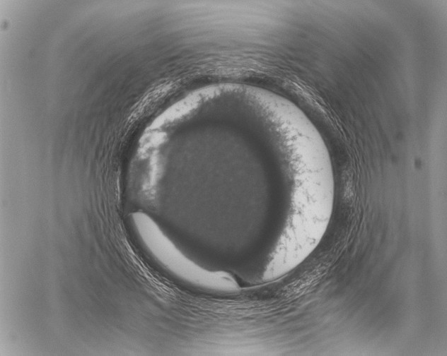 X0000058100685200510211436