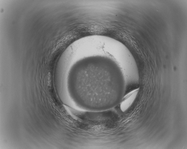 X0000058100689200510211436