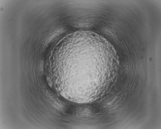 X0000058100735200510211435