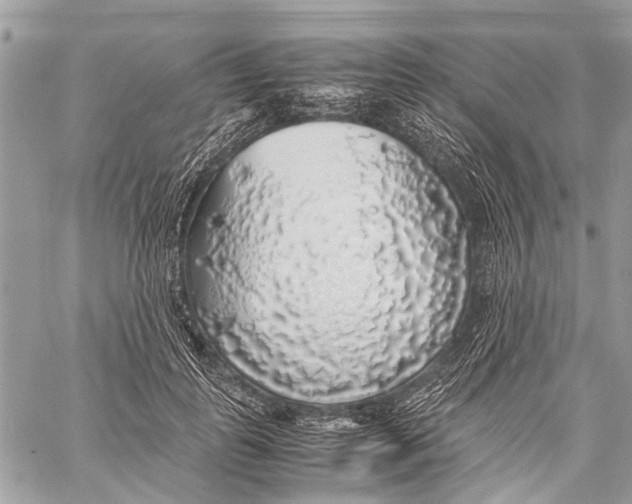 X0000058100747200510211435
