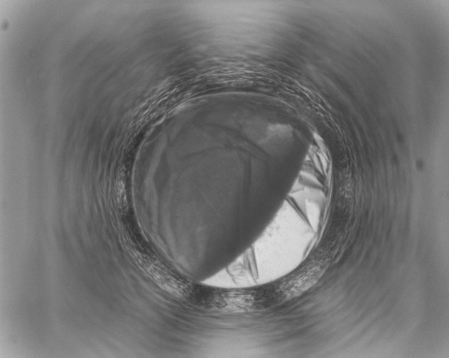 X0000058100754200510211435