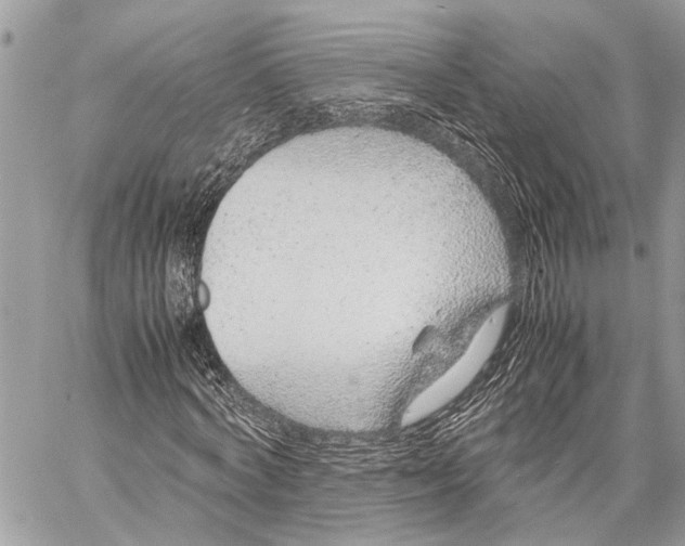 X0000058100772200510211435