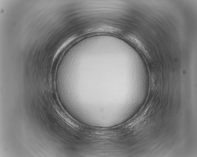 X0000058100780200510211435