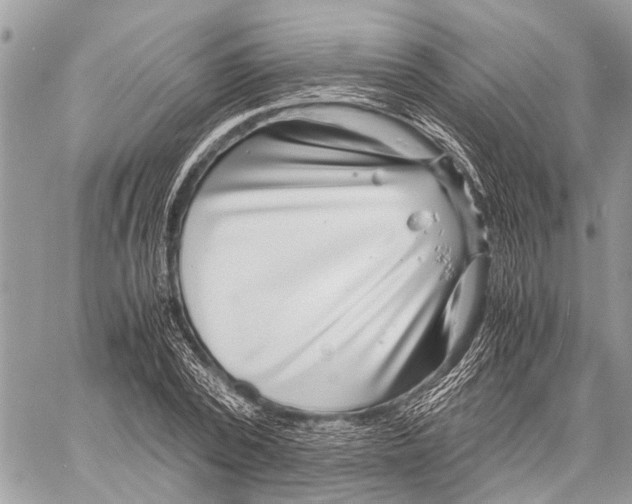 X0000058100784200510211434