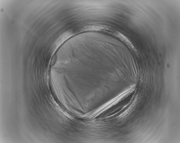 X0000058100802200510211434