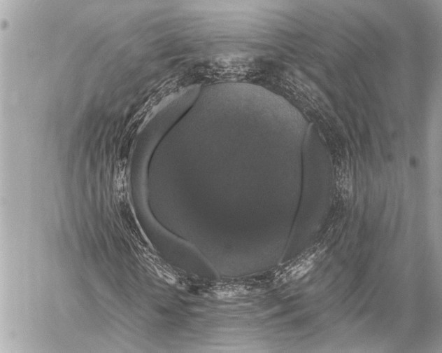 X0000058100818200510211433