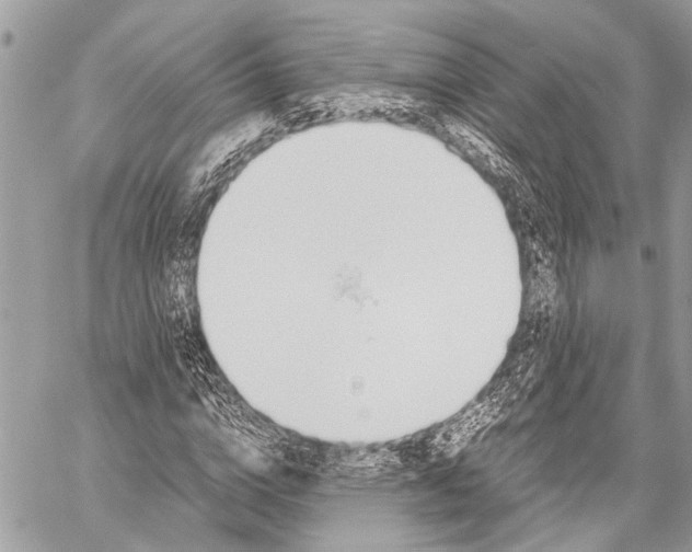 X0000058100824200510211433
