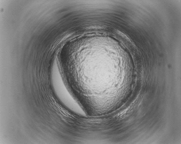X0000058100825200510211433
