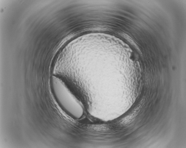 X0000058100845200510211434