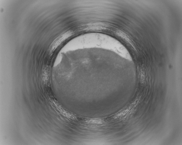 X0000058100874200510211433