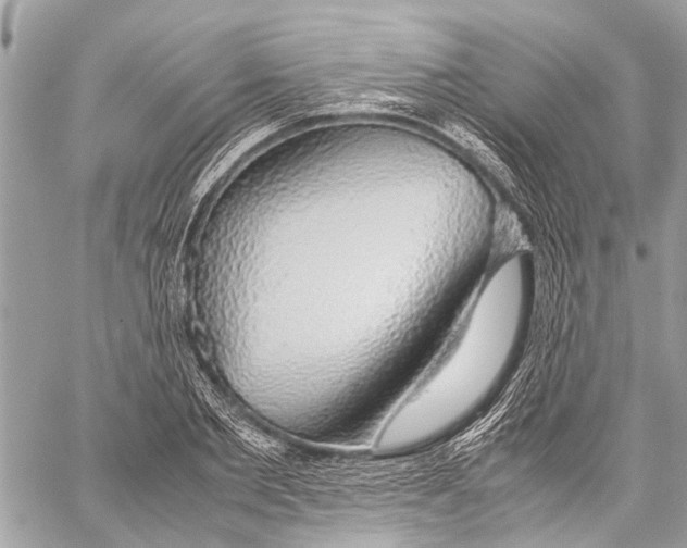 X0000058100885200510211433