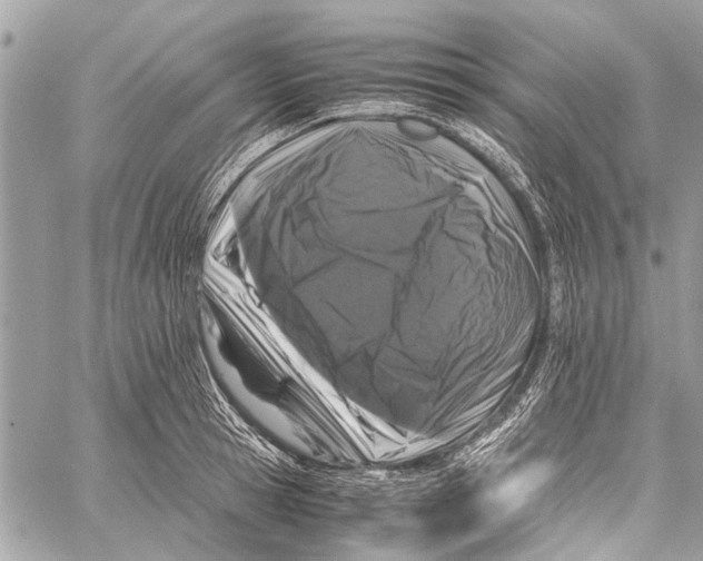 X0000058100945200510211432