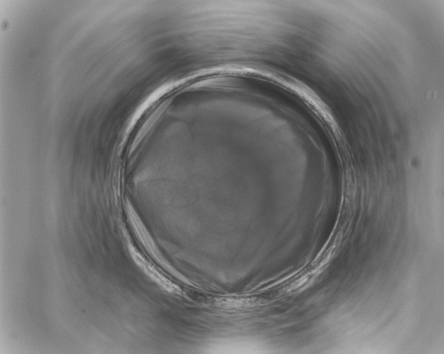 X0000058100958200510211432