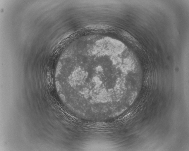 X0000058100966200510211431