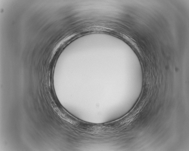 X0000058100987200510211431