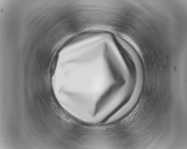 X0000058100996200510211431